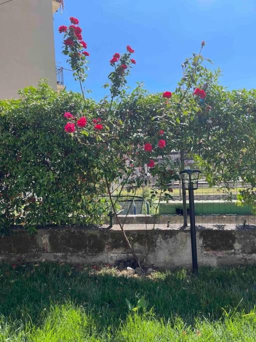 Casa Ale 5 Terre Guest House Con Giardino La Spezia Ngoại thất bức ảnh